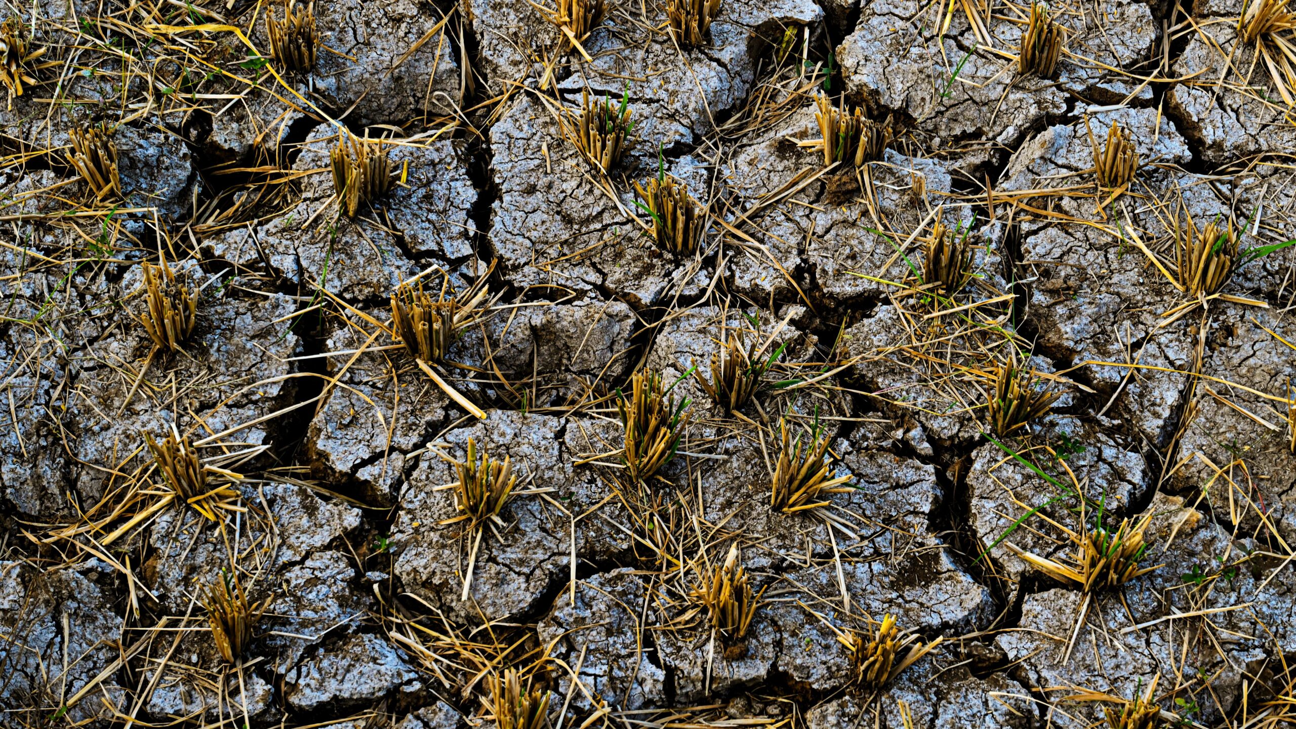 Itt az újabb hőhullám, de a kormány vízügyi cselekvési terve még sehol