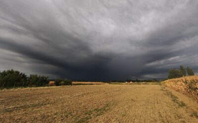 Nem vicc: megérkeztek az esőtagadók