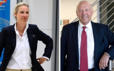 Az AfD-vel való együttműködést sürgeti a Müller tulajdonosa